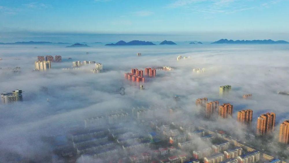 不允许你不知道猫咪发出的10个求救信号!